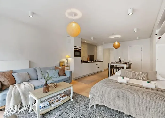 Huswell - Enjoyable Studio In The Center Of Knokke